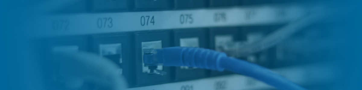un patch panel amb un cable de xarxa blau connectat a la roseta número 074