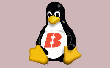 Tux, el pingüí mascota del Linux, amb la B de Blitz a la panxa